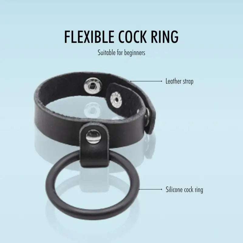 Steel and Seal Combo - Dual Cock Rings - Frisky Business Adult Sex Toys Shop