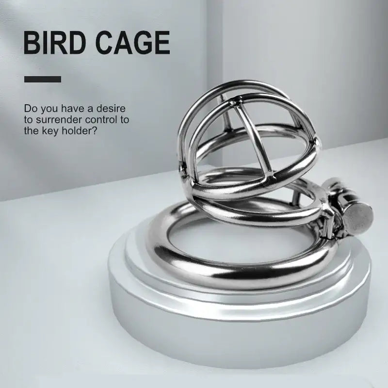 Steel Chastity Cage - Frisky Business Adult Sex Toys Shop