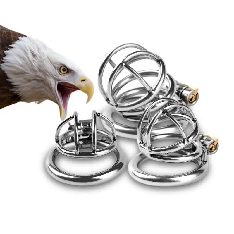 Steel Chastity Cage - Frisky Business Adult Sex Toys Shop