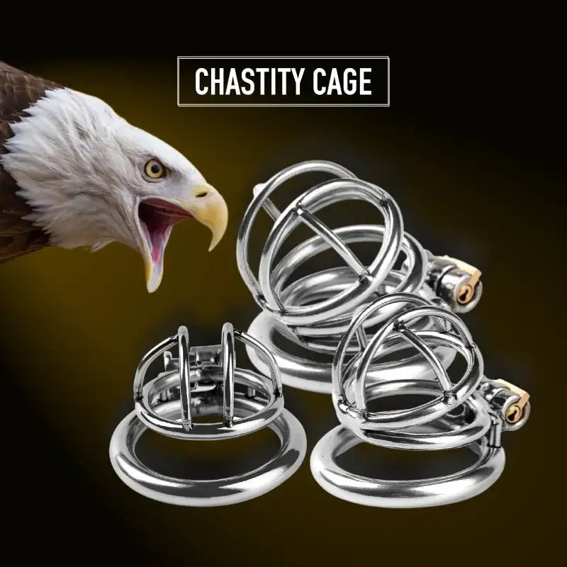 Steel Chastity Cage - Frisky Business Adult Sex Toys Shop