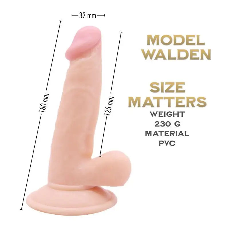 Walden 18 cm - Prince Series Realistic Suction Cup dildo - Frisky Business Adult Sex Toys Shop