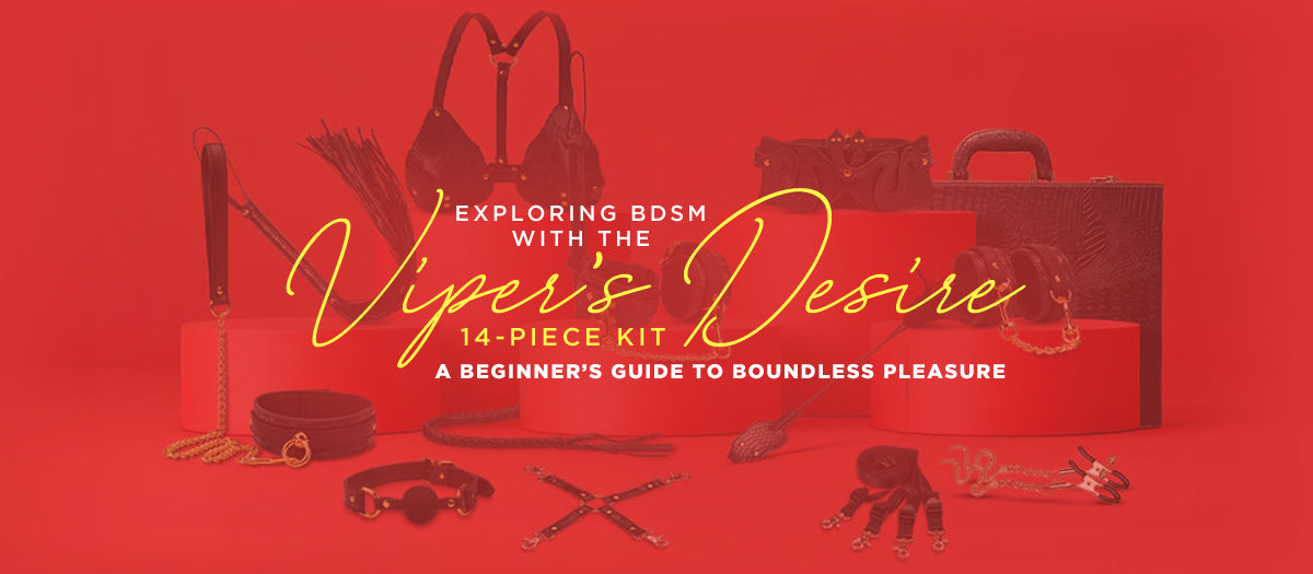 BDSM Basics: Viper's Desire 14-Piece Kit