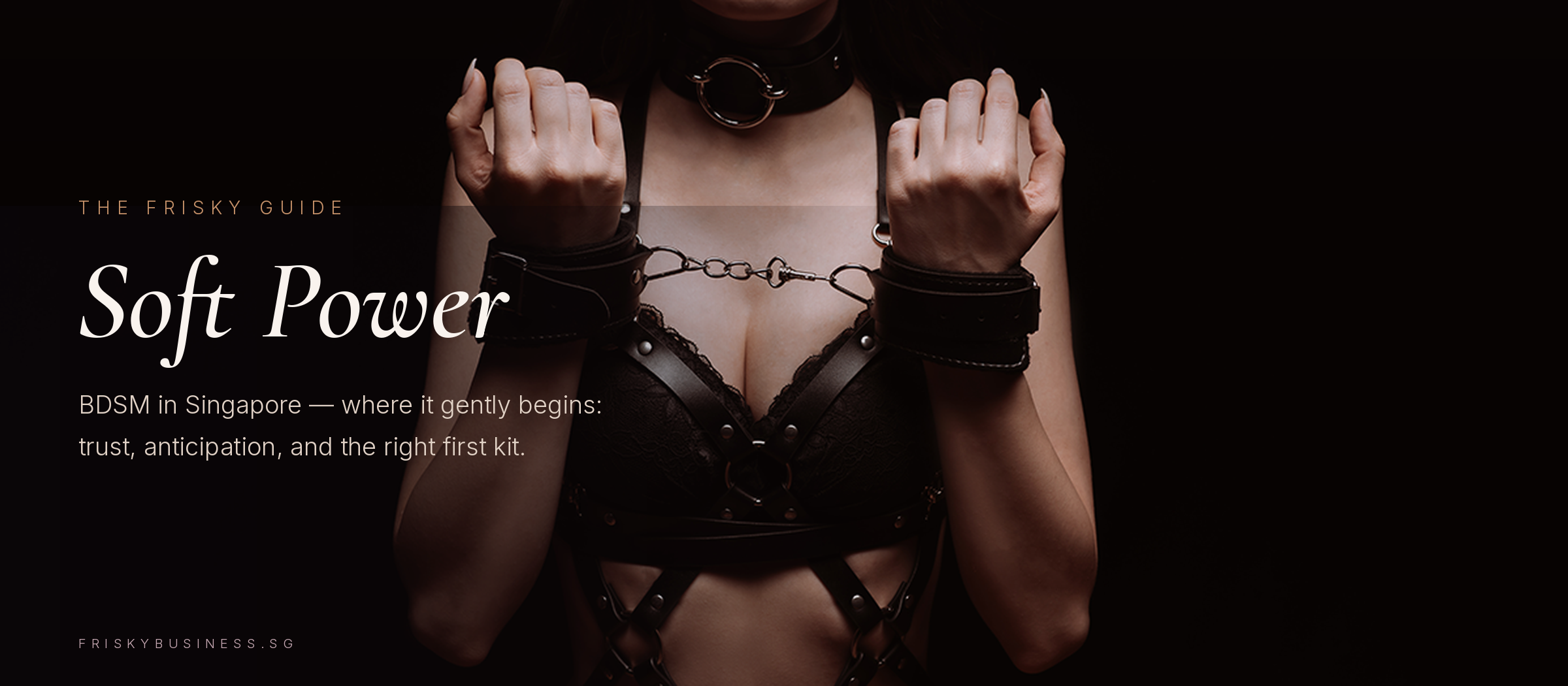 BDSM in Singapore: Where to Actually Start