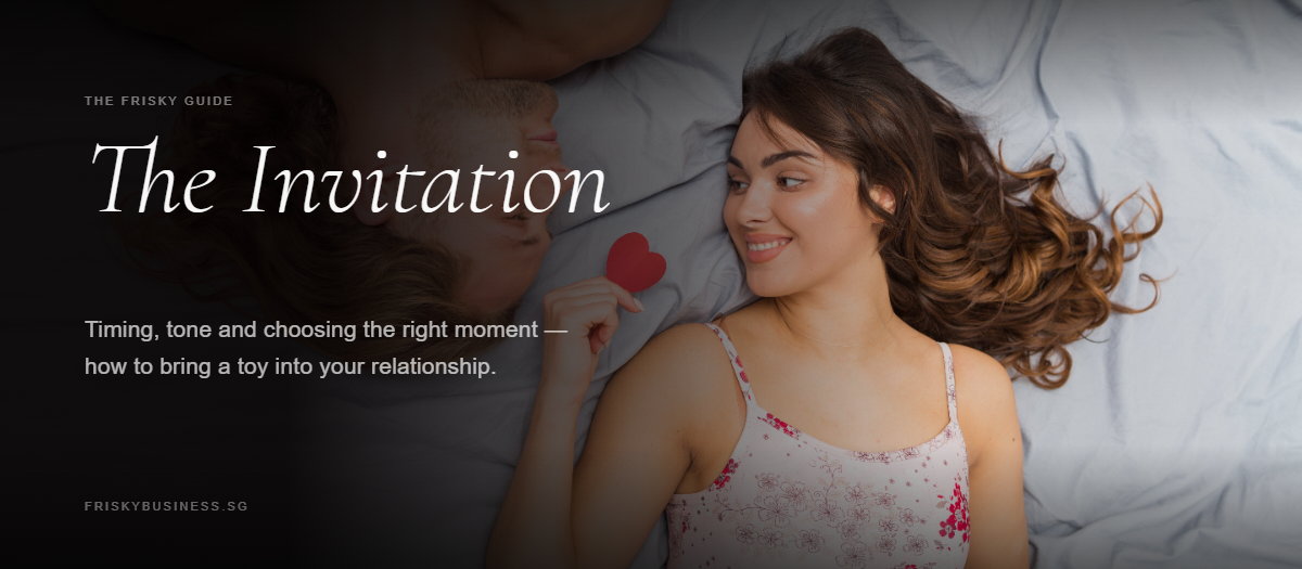 How to Introduce a Sex Toy to Your Partner