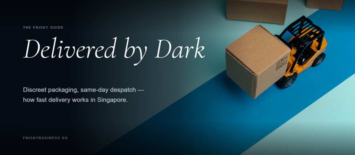 Same-Day Sex Toy Delivery in Singapore: How It Works