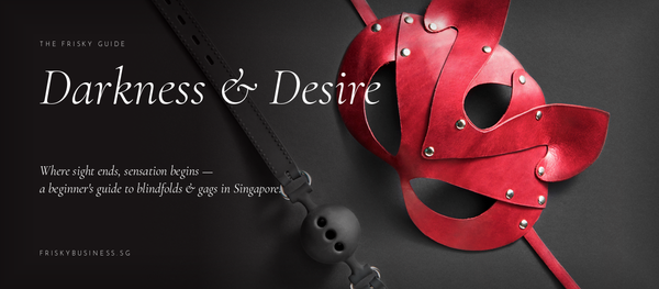 Blindfolds & Gags in Singapore: A Beginner's Guide to Sensory Deprivation