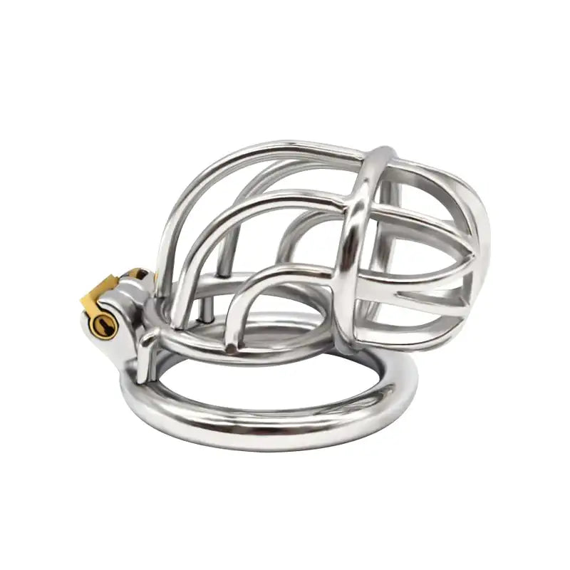 Curvature Lock - Stainless Steel Curved Design Chastity Cage - Frisky Business Adult Sex Toys Shop