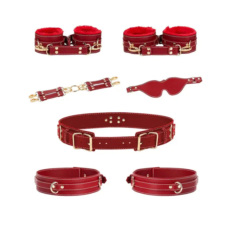 Flame Kissed - 6 Pcs BDSM Starter Kit - Frisky Business Adult Sex Toys Shop