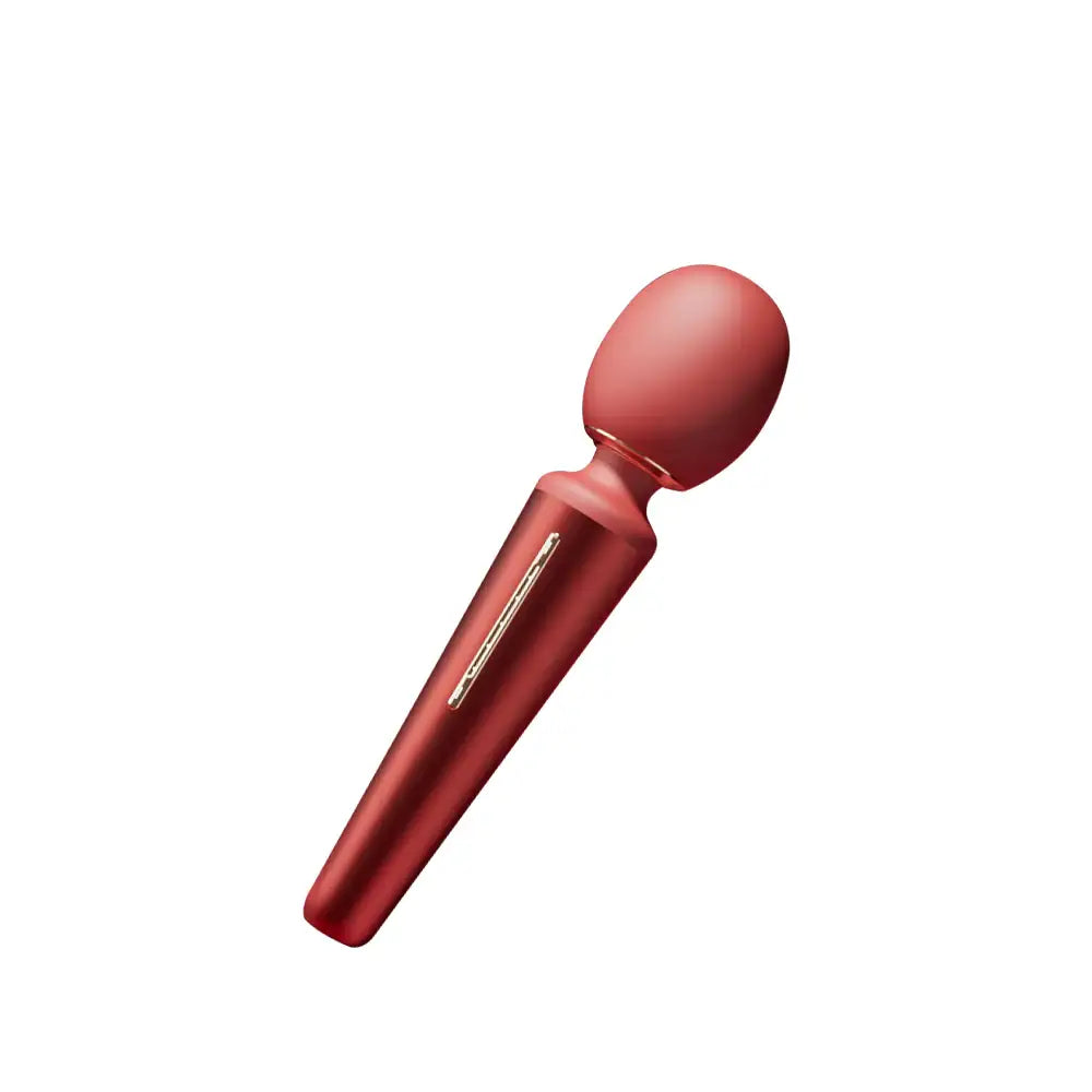 Roche - AV Wand Vibrator - Frisky Business Adult Sex Toys Shop