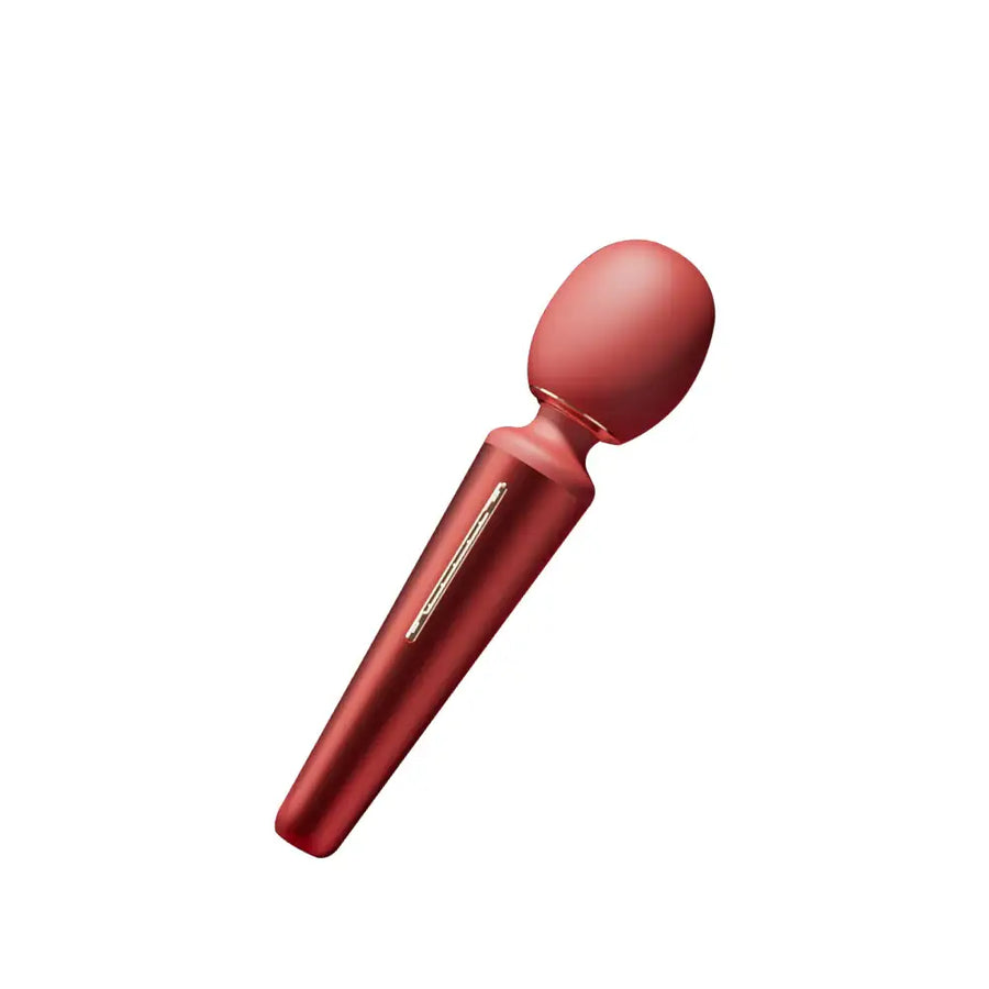 Roche - AV Wand Vibrator - Frisky Business Adult Sex Toys Shop