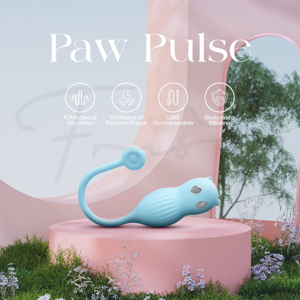 PawPulse – APP Control Wearable Electric Shock Vibrator