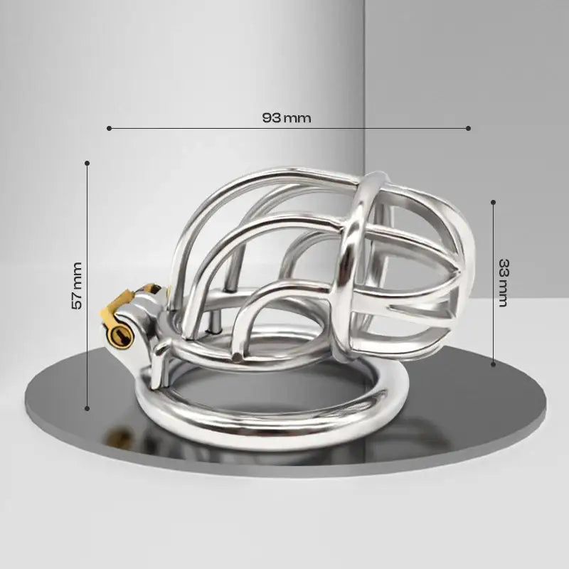 Curvature Lock - Stainless Steel Curved Design Chastity Cage - Frisky Business Adult Sex Toys Shop