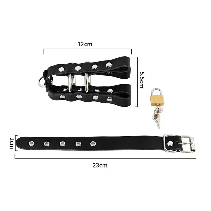 Ebon Hold - Male Leather Chastity Cage - Frisky Business Adult Sex Toys Shop