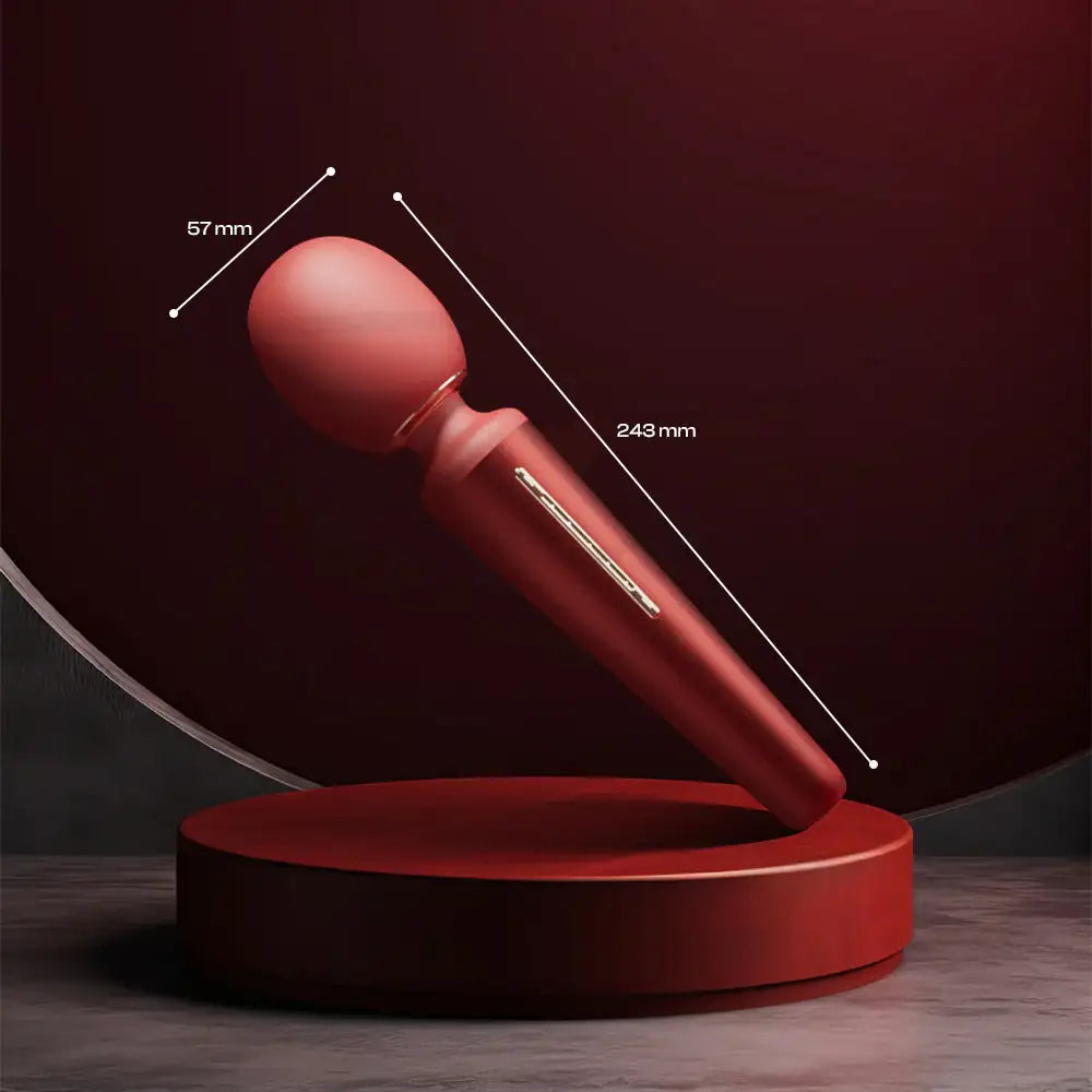 Roche - AV Wand Vibrator - Frisky Business Adult Sex Toys Shop