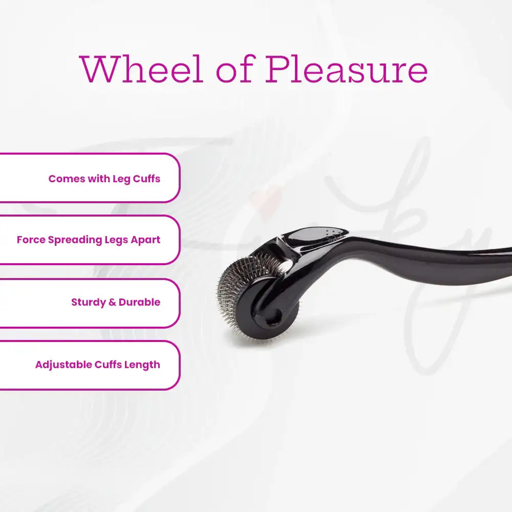 SHOTS Ouch! Wheel of Pleasure compact design with vibrant sections for versatile adult gaming experiences Singapore