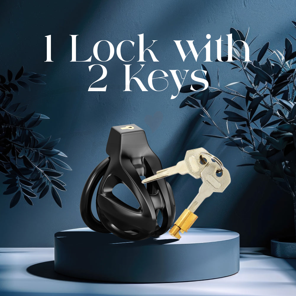 Dragon Lock metal chastity set featuring one lock and two matching keys