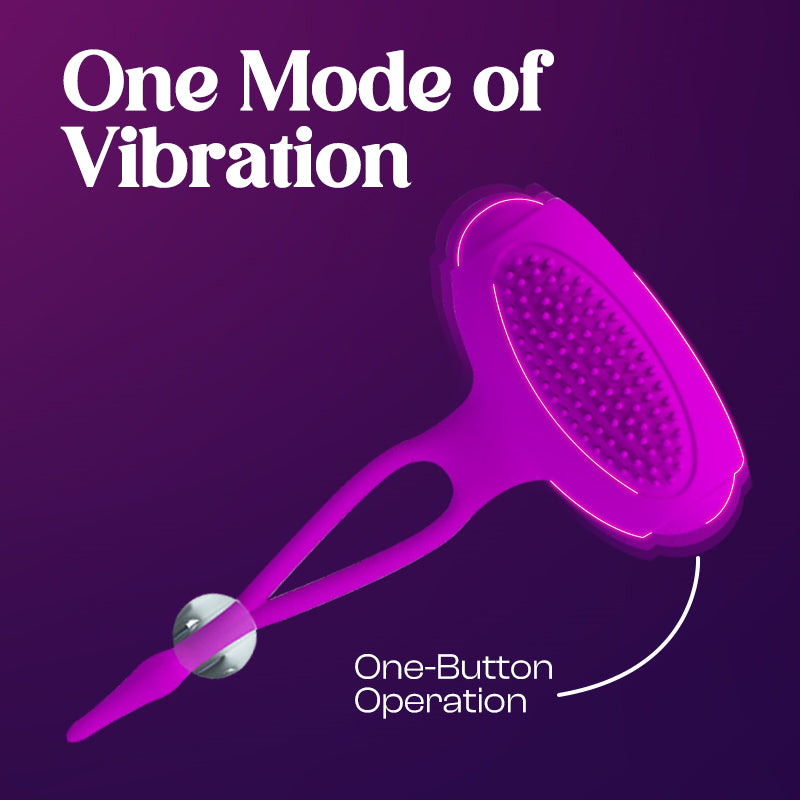 Plum Paradise - Wireless Adjustable Nipple Vibrators