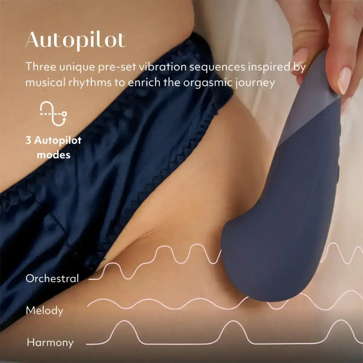 Womanizer Vibe - Dark Blue - Frisky Business Adult Sex Toys Shop