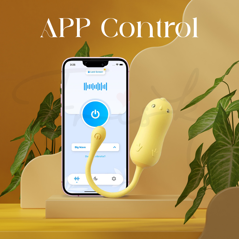 Chicky Cha – APP Control Wearable Electric Shock  Egg Vibrator
