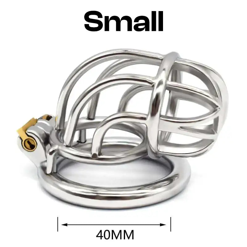Curvature Lock - Stainless Steel Curved Design Chastity Cage - Frisky Business Adult Sex Toys Shop