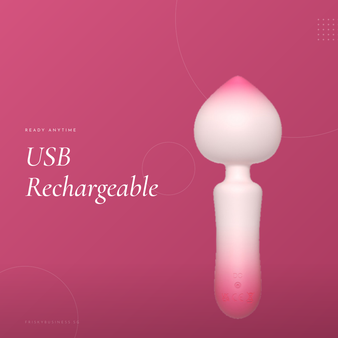 Pechette Compact Wand Vibrator