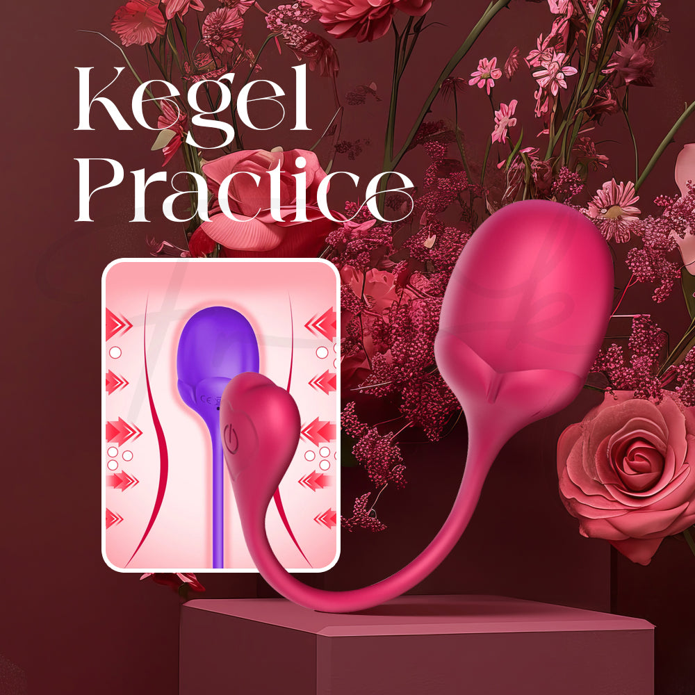 Anatomical illustration showing how the Kegel egg sits internally for pelvic floor training
