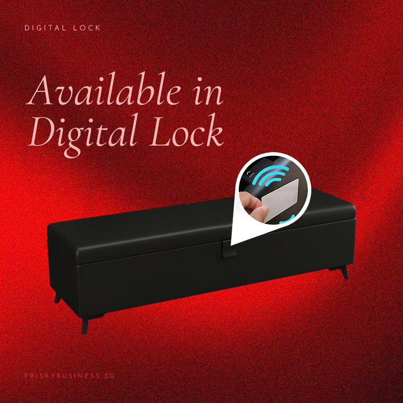 Noir Cache Lockable Storage Ottoman