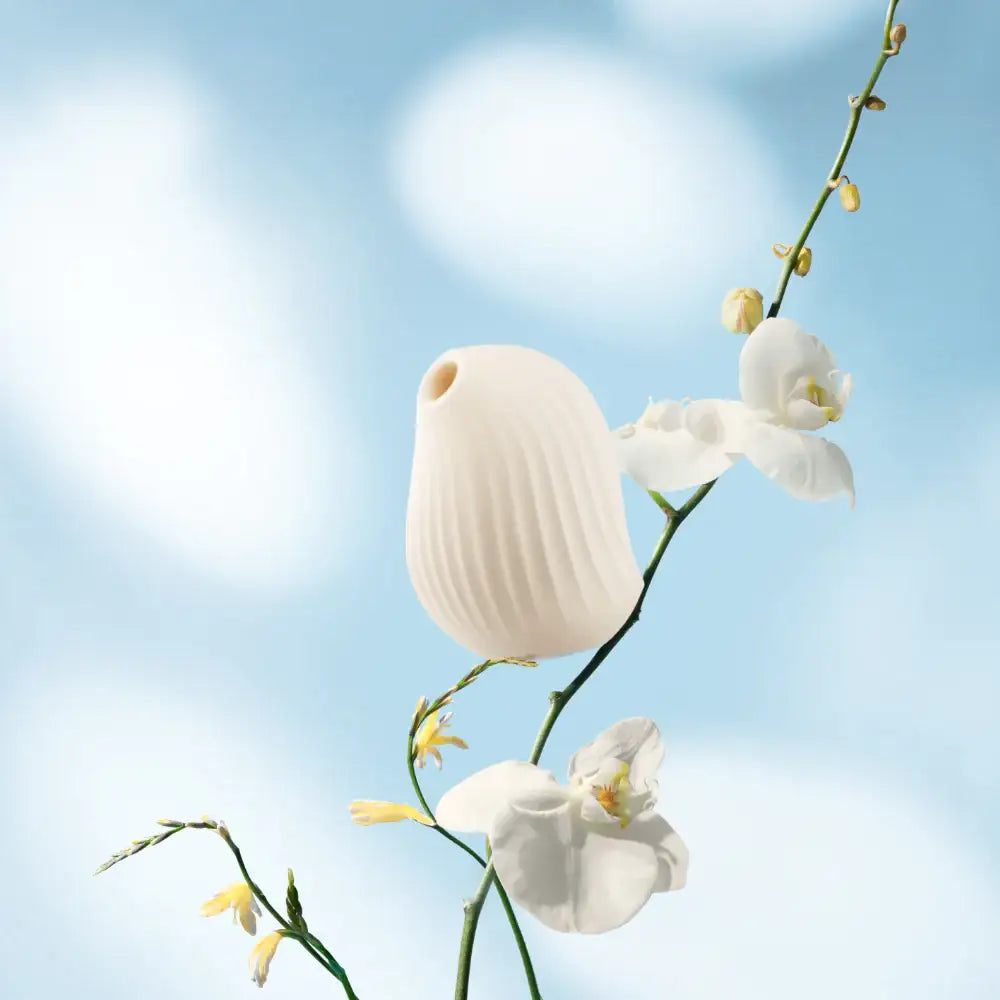 OSUGA Cuddly Bird Pro – Clitoral Suction Vibrator & Bedside Lamp | Official Distributor Singapore