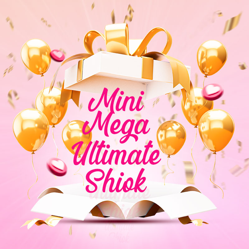 Mini Shiok Mystery Box