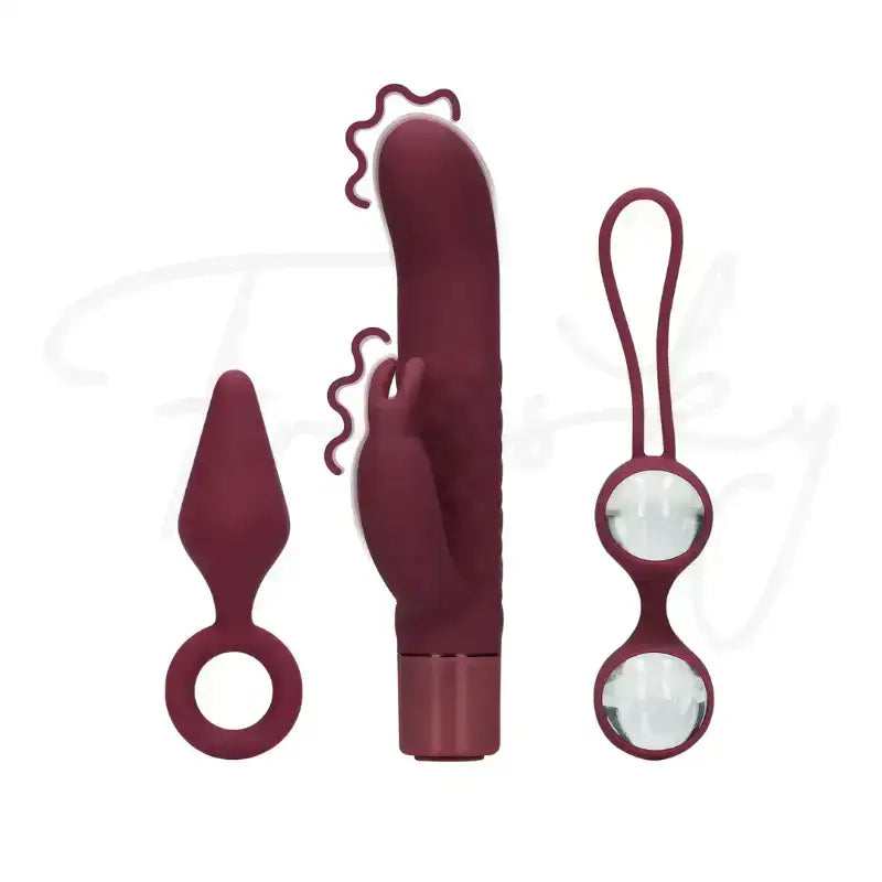 SHOTS (S)explore Toy Kit for Her Sleek and stylish design suitable for personal relaxation or gifting purposes Singapore