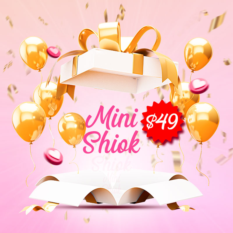 Mini Shiok Mystery Box