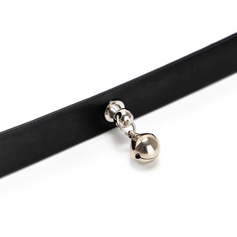 BDSM Collar & Leash