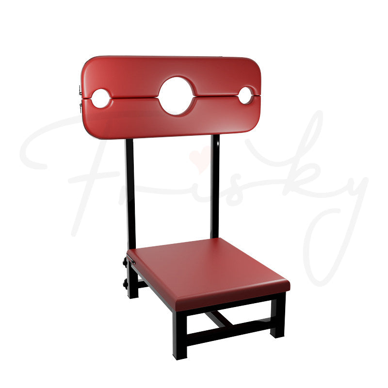 Imprisoned Love-Sensual Captivity Bondage Chair