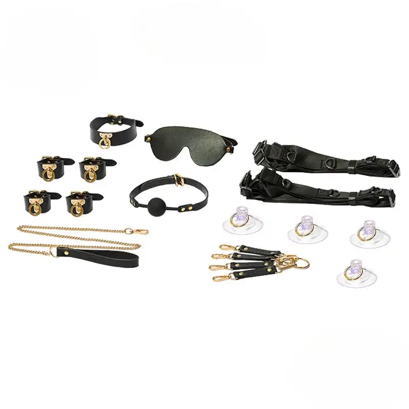 KISSTOY® JOY BOX BDSM Bondage Play Set with Adjustable Restraints and Accessories Singapore