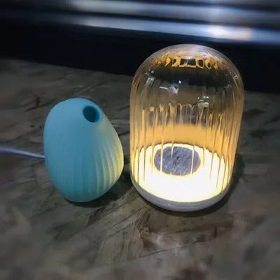 Cuddly Bird glowing beneath a clear dome cover beside blue unit on tabletop.