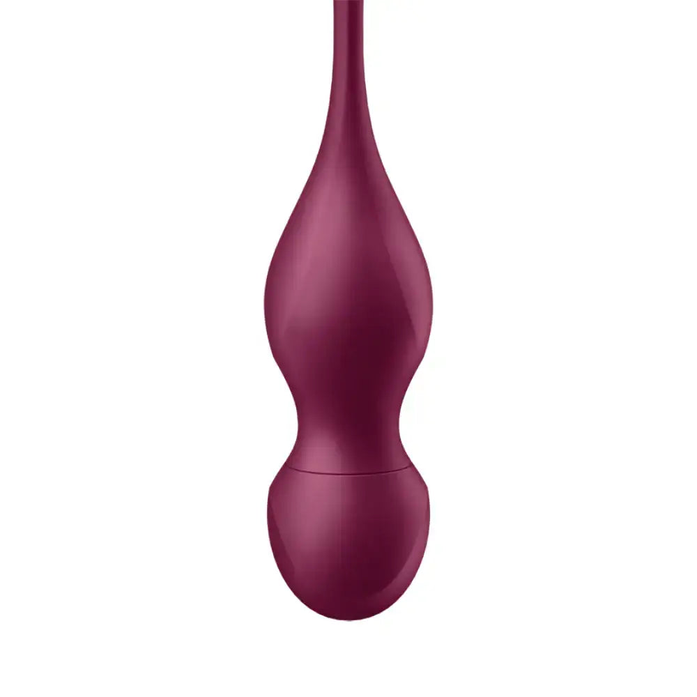 Satisfyer - Love Birds Vary Connect App - Frisky Business Adult Sex Toys Shop