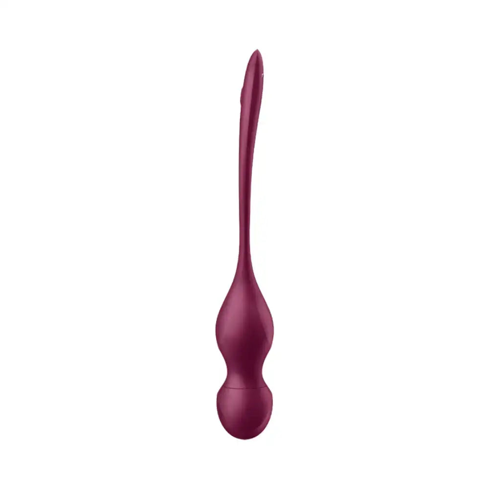 Satisfyer - Love Birds Vary Connect App - Frisky Business Adult Sex Toys Shop