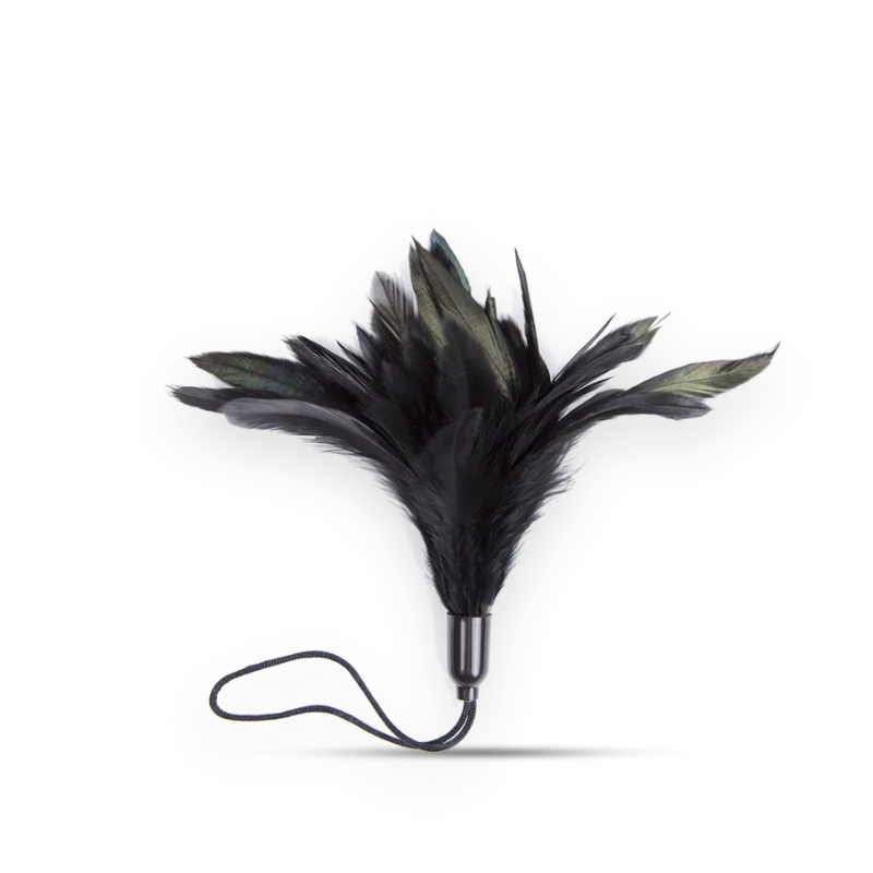 Black feather teasing wand with a full plume head and looped cord handle, white background
