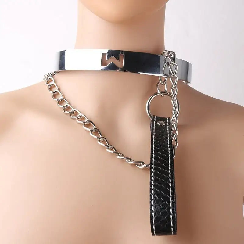 BDSM - Alloy Collar & Leash - Frisky Business Adult Sex Toys Shop