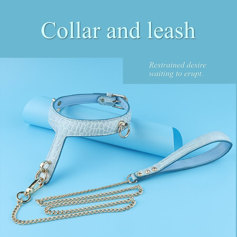 BDSM - Collar & Leash - FRISKY BUSINESS SG