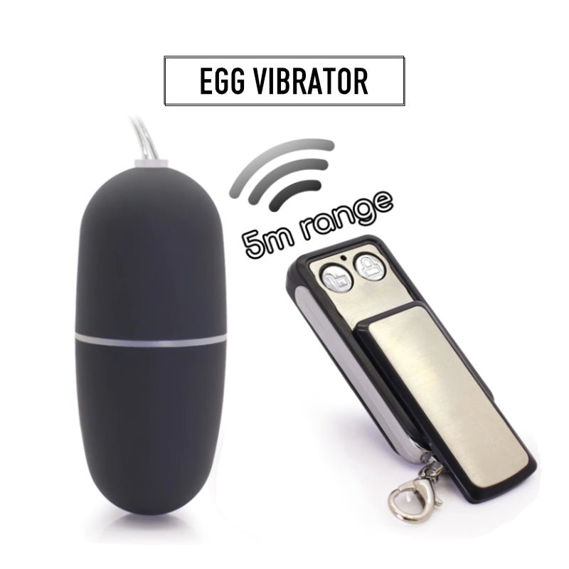 Car Remote Control - Egg Vibrator - FRISKY BUSINESS SG