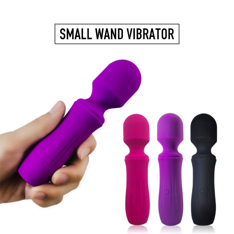 Wish - Mini Wand Vibrator - FRISKY BUSINESS SG